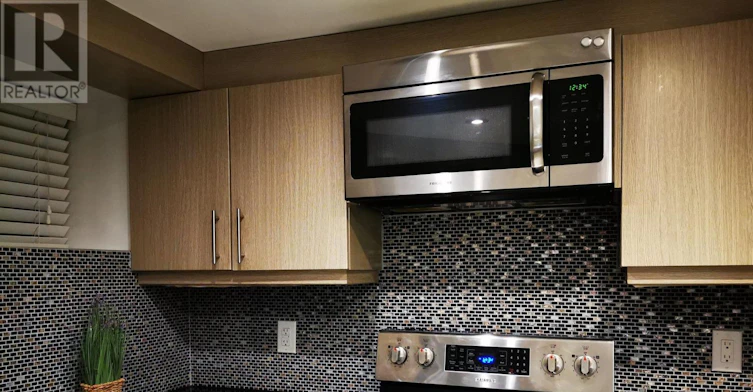 BASEMENT-488 Manning Avenue, Toronto, ON, M6G 2V7 - 5
