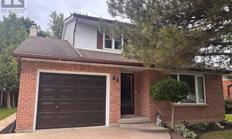 43 Mcgregor Street