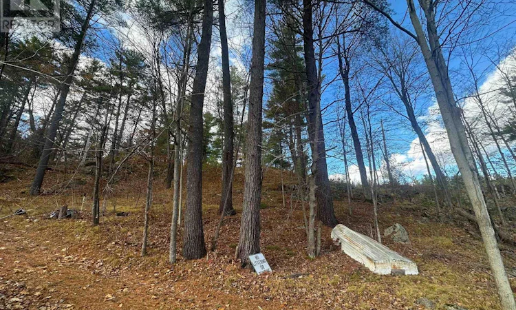 1457 Opeongo Road