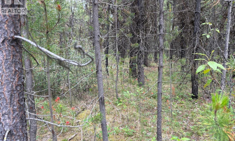 LOT-3 Horse Lake Road