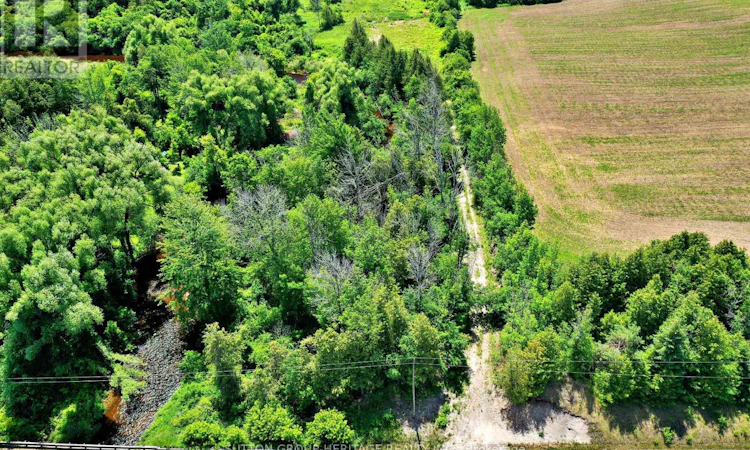 LOT-12 Concession 13