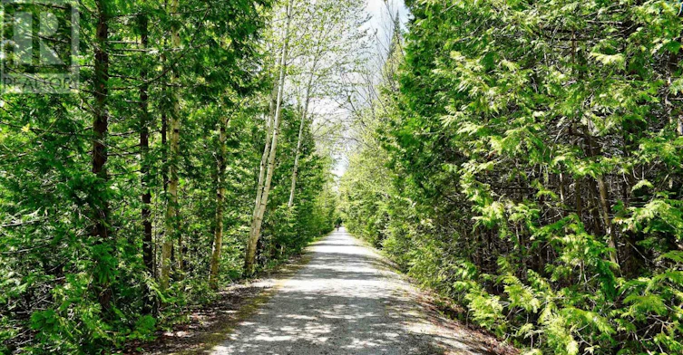 208544 26 Highway, Blue Mountains, ON, N0H 1J0 - 35