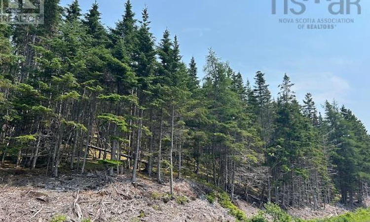 Soldiers Cove Road