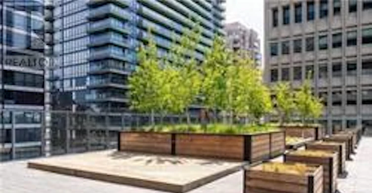 509-57 St Joseph Street, Toronto, ON, M5S 0C5 - 9