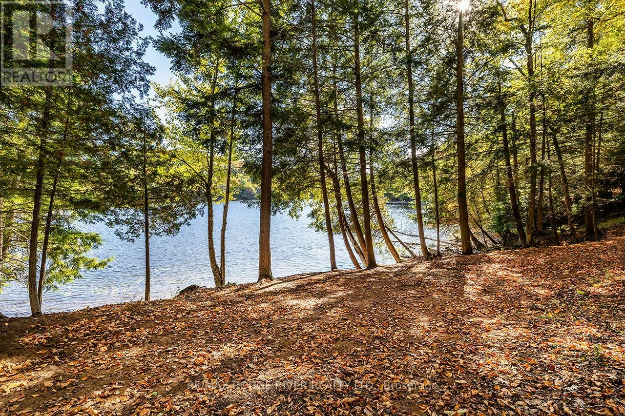 0 Thompson Portage Road, Lake of Bays, ON, P0A 1H0