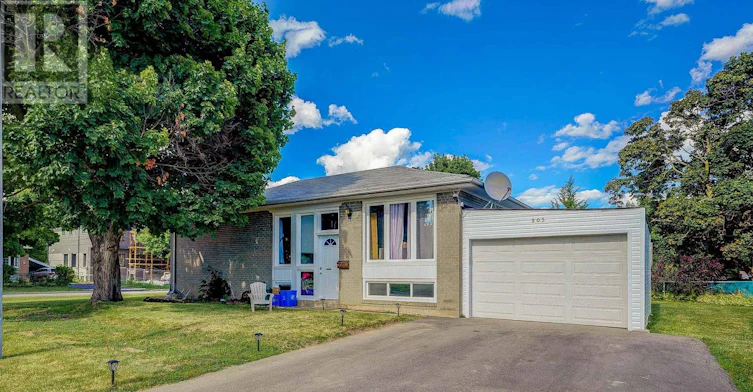 MAIN FL-203 Norfolk Avenue, Richmond Hill, ON, L4C 2E1