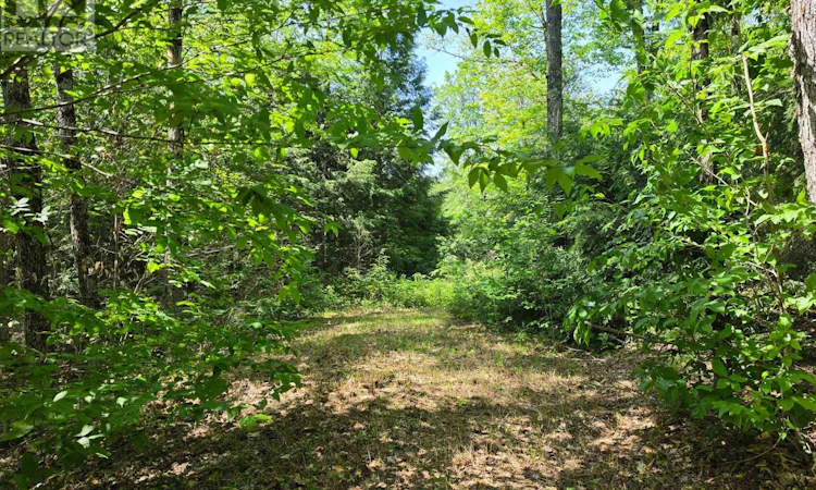 1160 Balmer Road