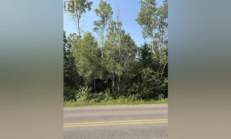 Cape Bear Road