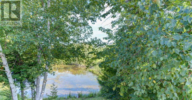 32 Green Briar Drive, Collingwood, ON, L9Y 5H9 - 24