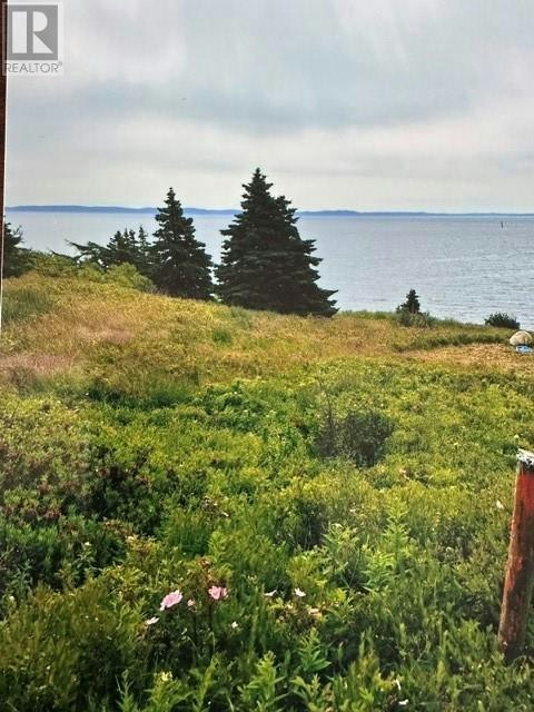 2 Old Cart Path, South River, NL, A0A 1L0
