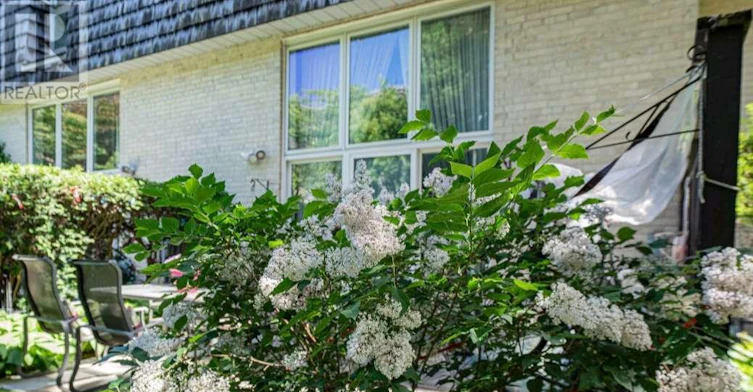 85 Scenic Mill Way, Toronto, ON, M2L 1S9 - 40