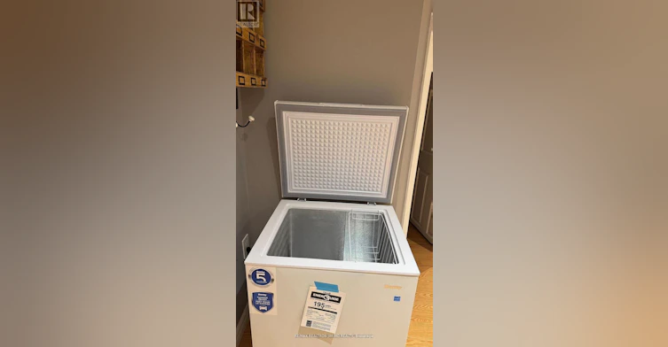 BASEMENT-50 Reginald Crescent, Markham, ON, L3P 3T7 - 8