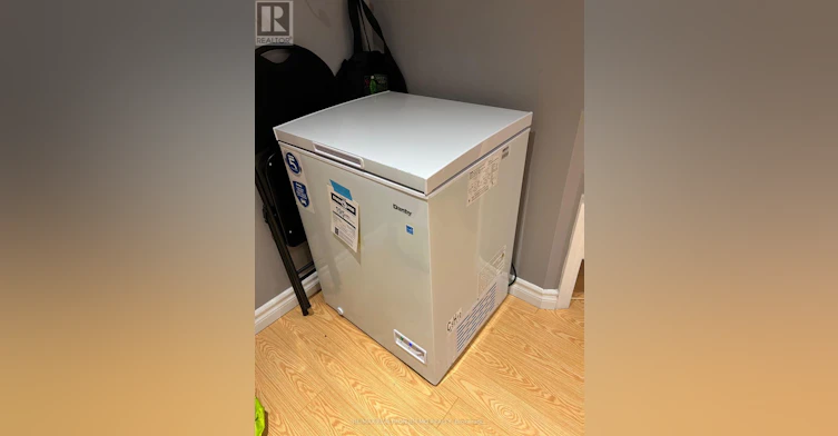 BASEMENT-50 Reginald Crescent, Markham, ON, L3P 3T7 - 19
