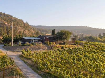 4320 Gulch Road - 3