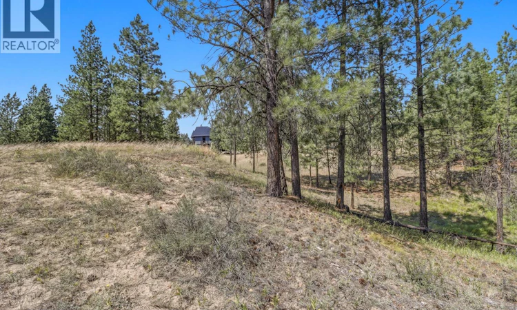 205 Corral Boulevard