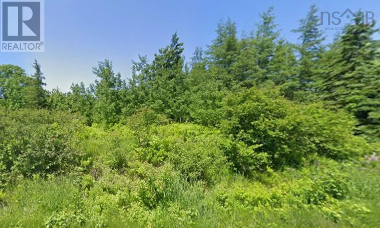 Lot-A Malagash Road