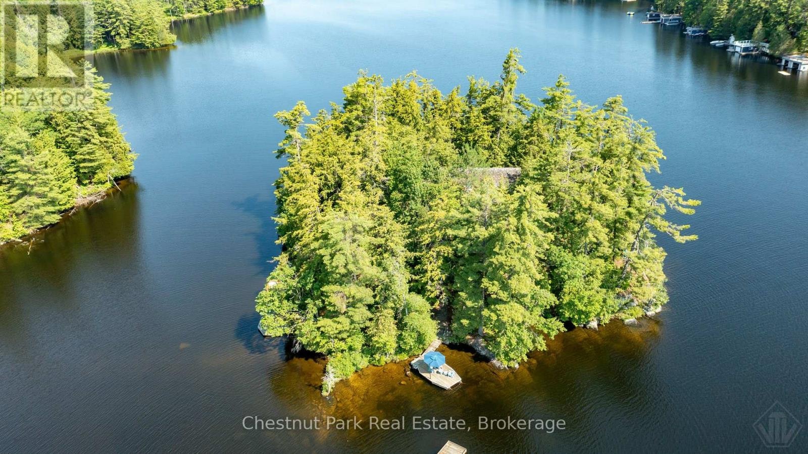 1 Merlin M91 Island Island, Muskoka Lakes, ON, P1P 1R2