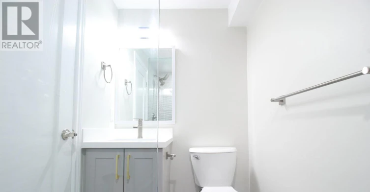 BASEMENT-117 Pindar Crescent, Toronto, ON, M2J 3L3 - 14