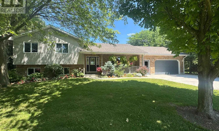 33768 Maple Court