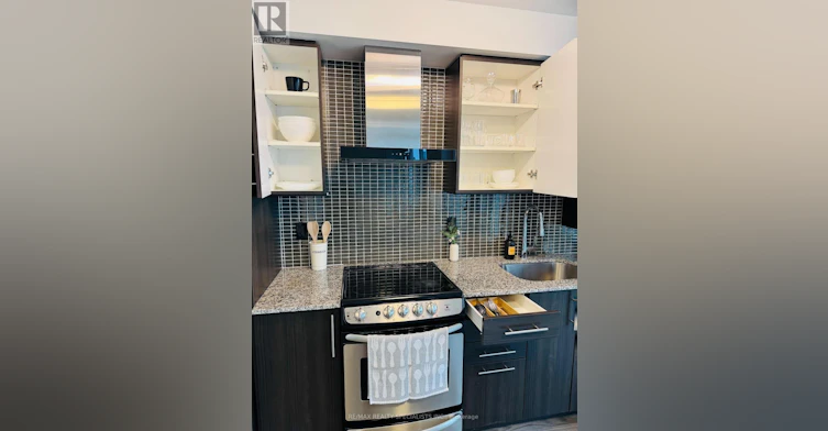 1007-352 Front Street, Toronto, ON, M5V 1B5 - 7