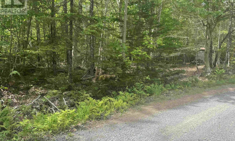 Silvers Cove Road