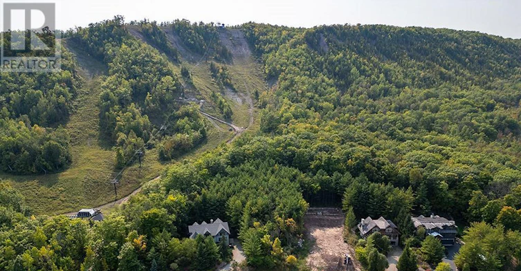 GROUND LEVEL-183 Alta Road, Blue Mountains, ON, L9Y 0T2 - 13