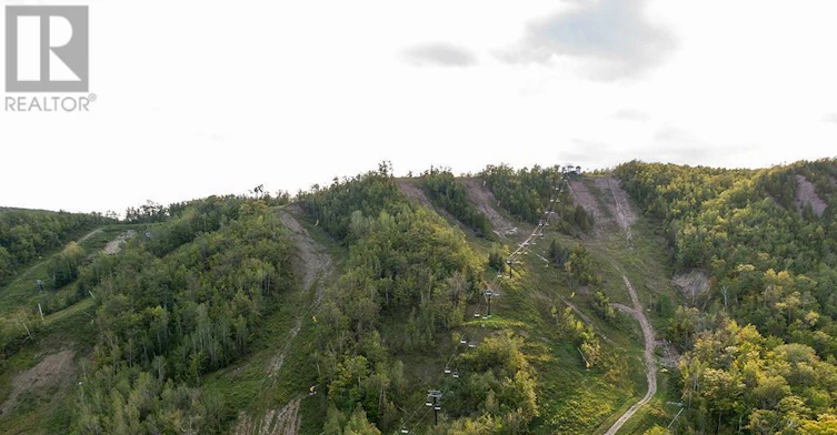 GROUND LEVEL-183 Alta Road, Blue Mountains, ON, L9Y 0T2 - 22