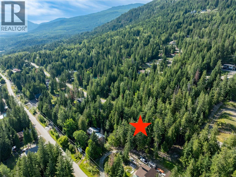 Lot-202 Estate Drive, Anglemont, BC, V0E 1M8 - 8