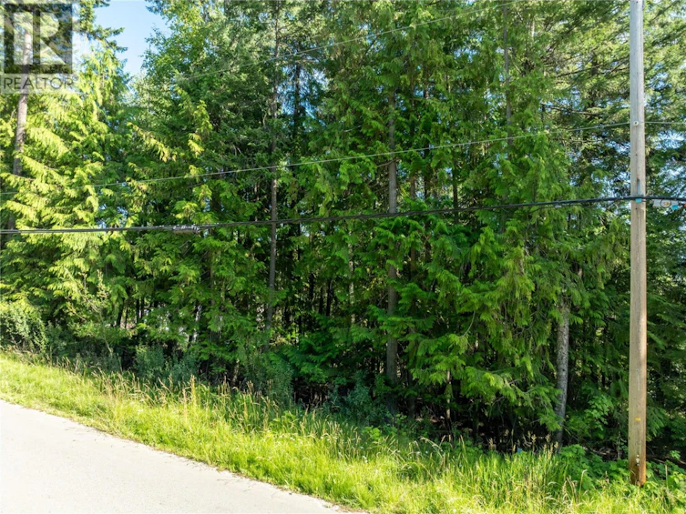 Lot-202 Estate Drive, Anglemont, BC, V0E 1M8 - 17