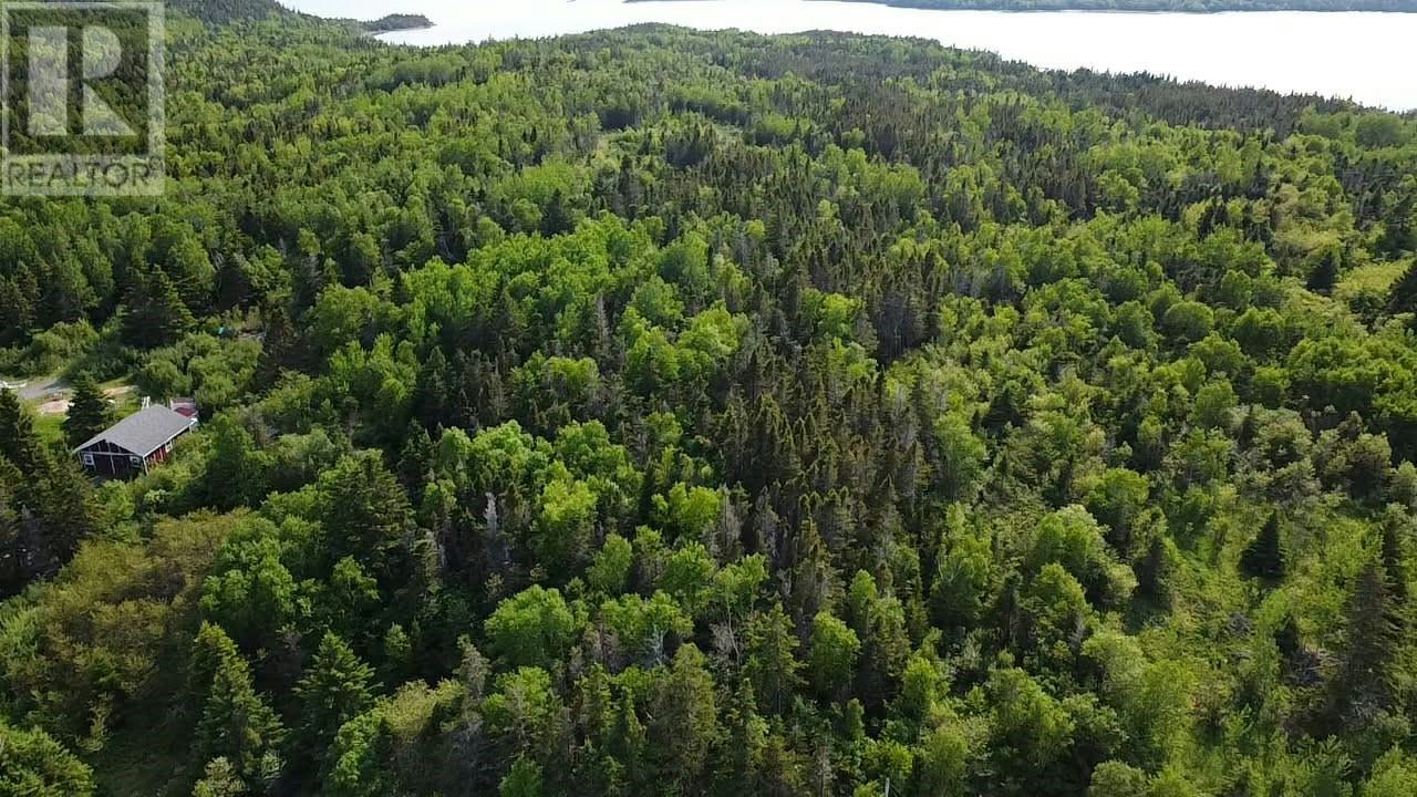 13 Burry's Road, Eastport, NL, A0G 1G0