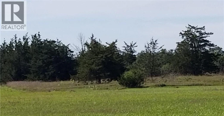 120 Drive In Road W, Greater Napanee, ON, K0K 2Z0
