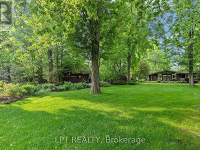8459 Adams Court - 4