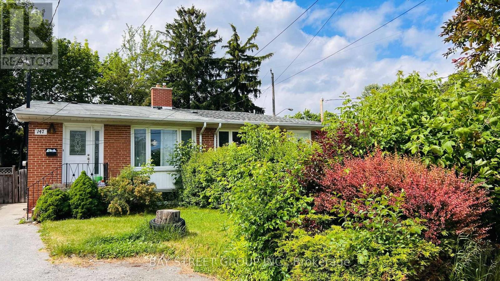 GROUND & LOWER-147 Roywood Drive, Toronto, ON, M3A 2E3 - 2
