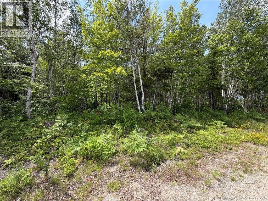 Lot-3 O'keefe, Miramichi, NB, E1V 6J3