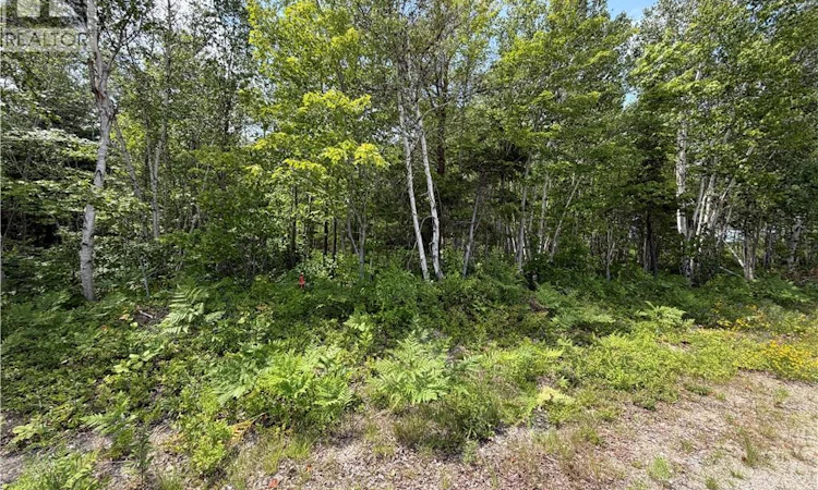 Lot-3 O'keefe