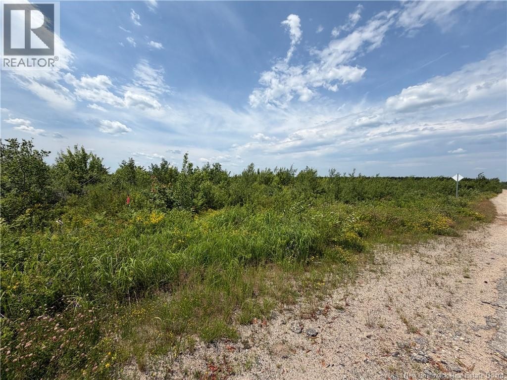 Lot-5 O'keefe, Miramichi, NB, E1V 6J3