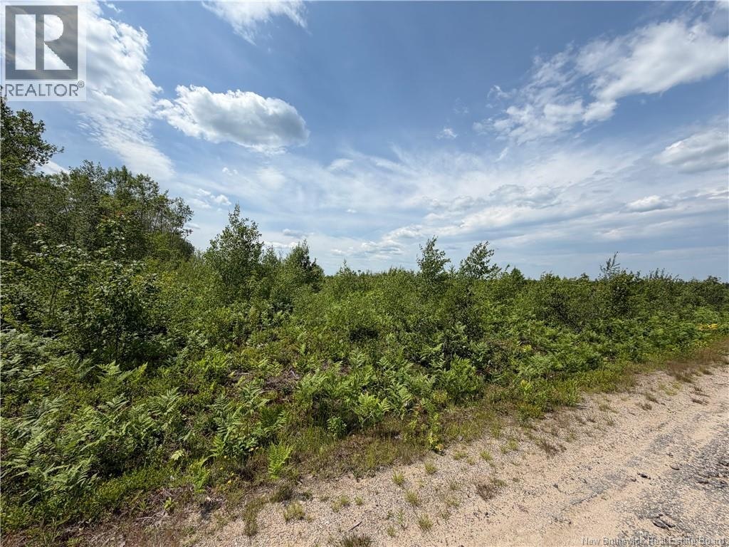 Lot-4 O'keefe Road, Miramichi, NB, E1V 6J3