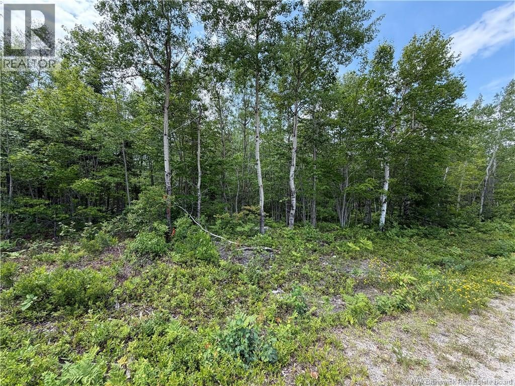 Lot-2 O'keefe Road, Miramichi, NB, E1V 6J3