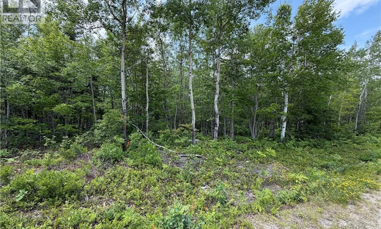 Lot-2 O'keefe Road