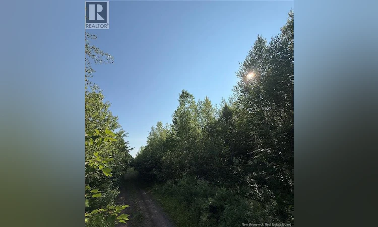 Upper Vail Road