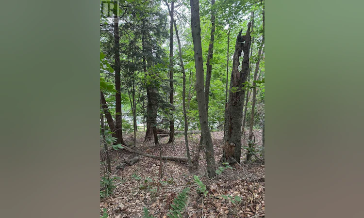 0 Silver Rock Lane