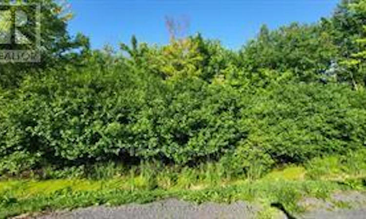 LOT 7 PLAN-246 Tolmies Corners Road