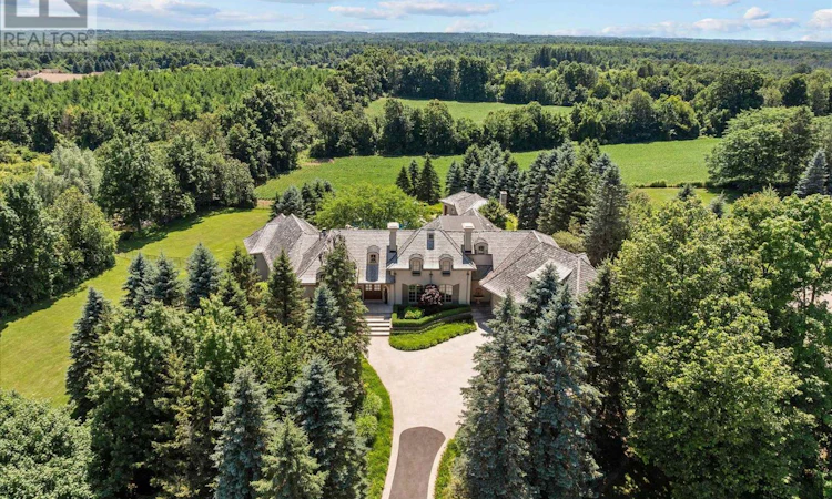10090 Pineview Trail