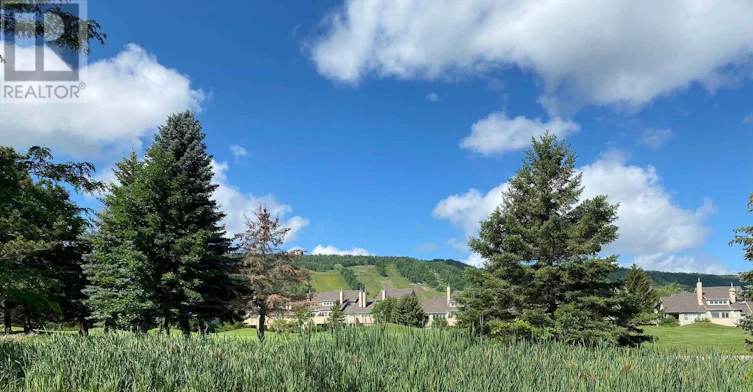 220-120 Fairway Court, Blue Mountains, ON, L9Y 0P8 - 28