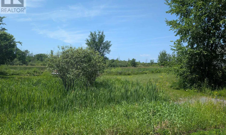 104 Casey Creek Lane