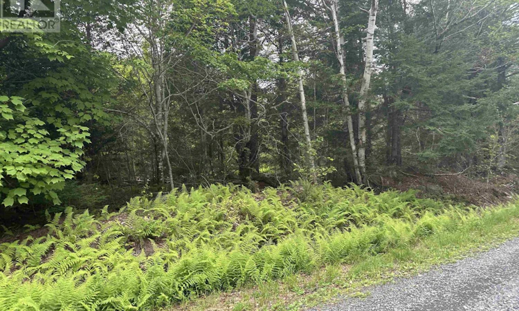 Lot-36 Wa Joseph Street