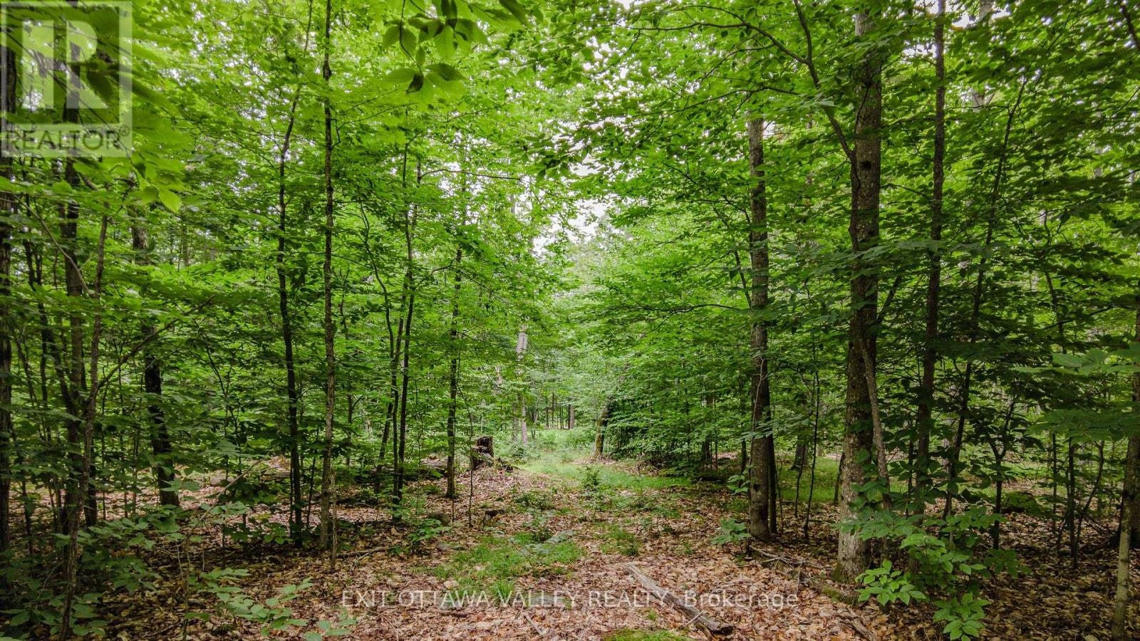 0 Peplinskie Road, Madawaska Valley, ON, K0J 1L0