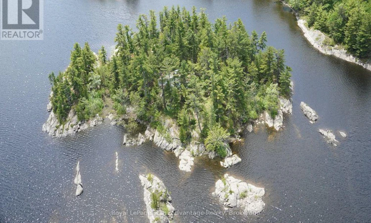 TP3411 Island French River