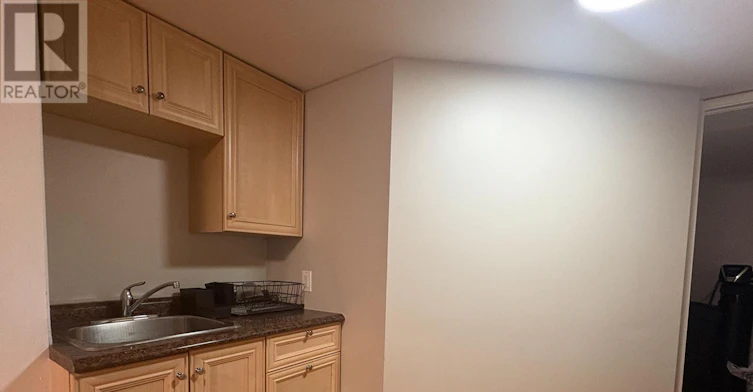 LOWER-248 James Avenue, Newmarket, ON, L3Y 4R8 - 10