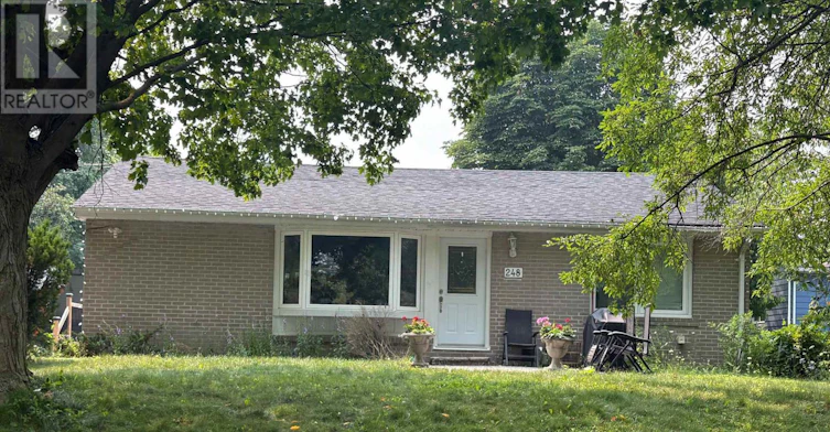 LOWER-248 James Avenue, Newmarket, ON, L3Y 4R8 - 2